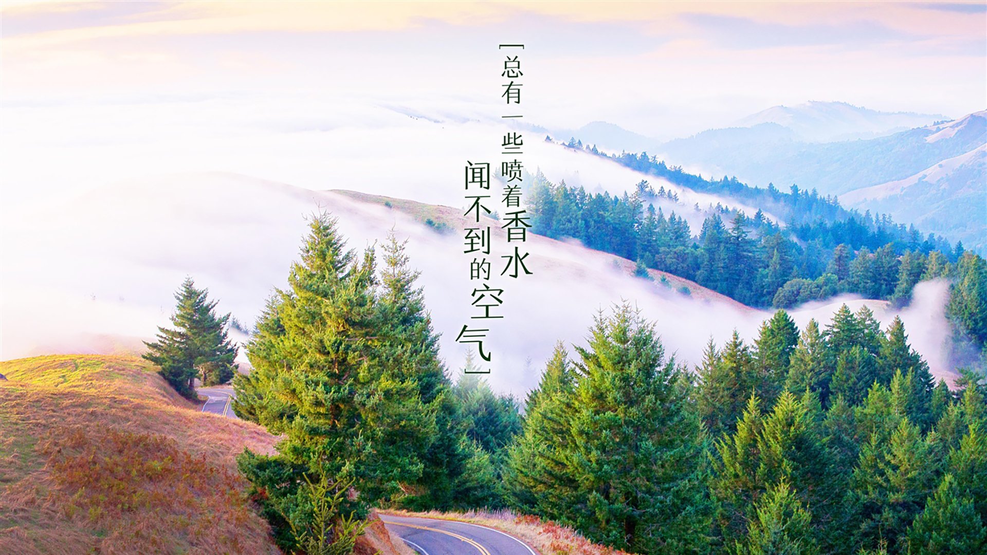 爱游戏 电竞-“德甲激烈角逐，冠军之争逐日明朗”，德甲冠名