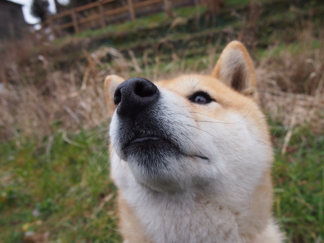 辽宁本钢球队比赛压力应对出色，辽宁本钢队的赛事
