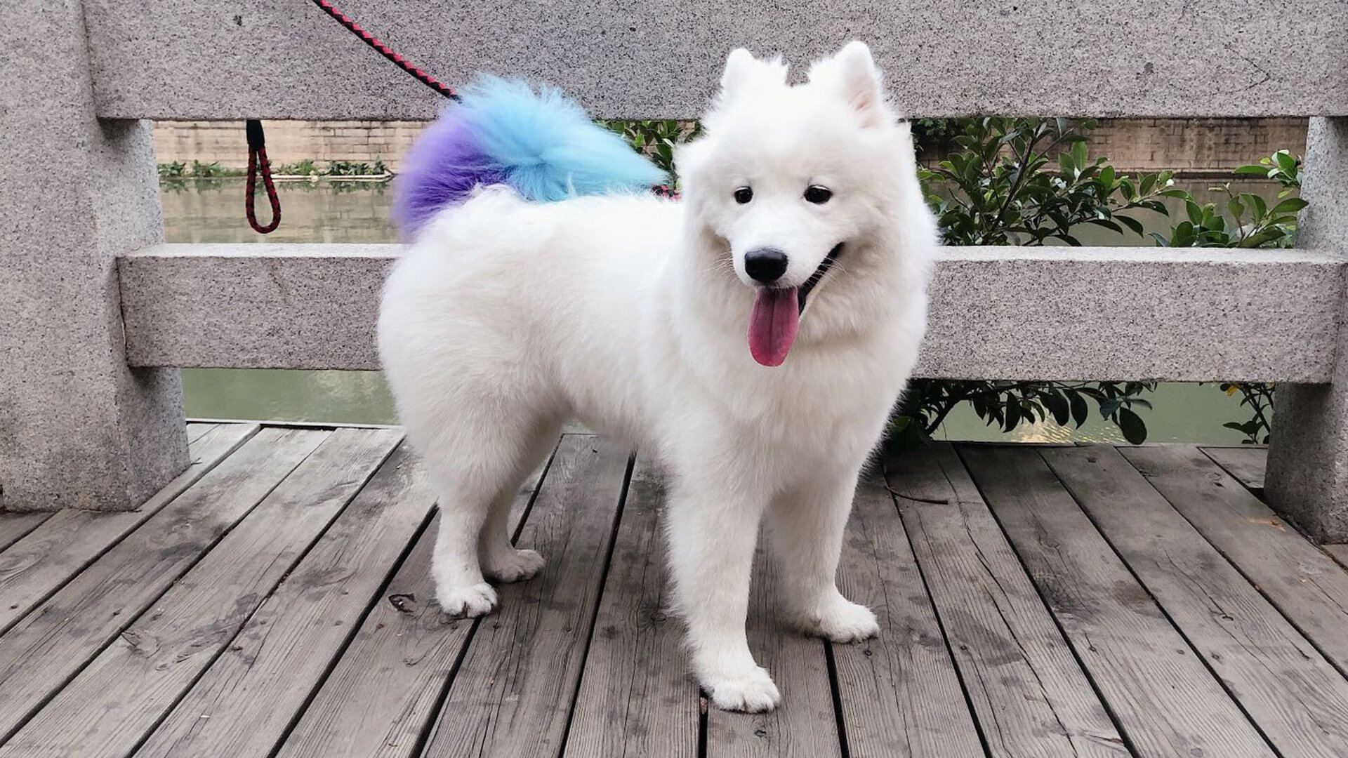 中国女篮不断优化攻守节奏，中国女篮进步