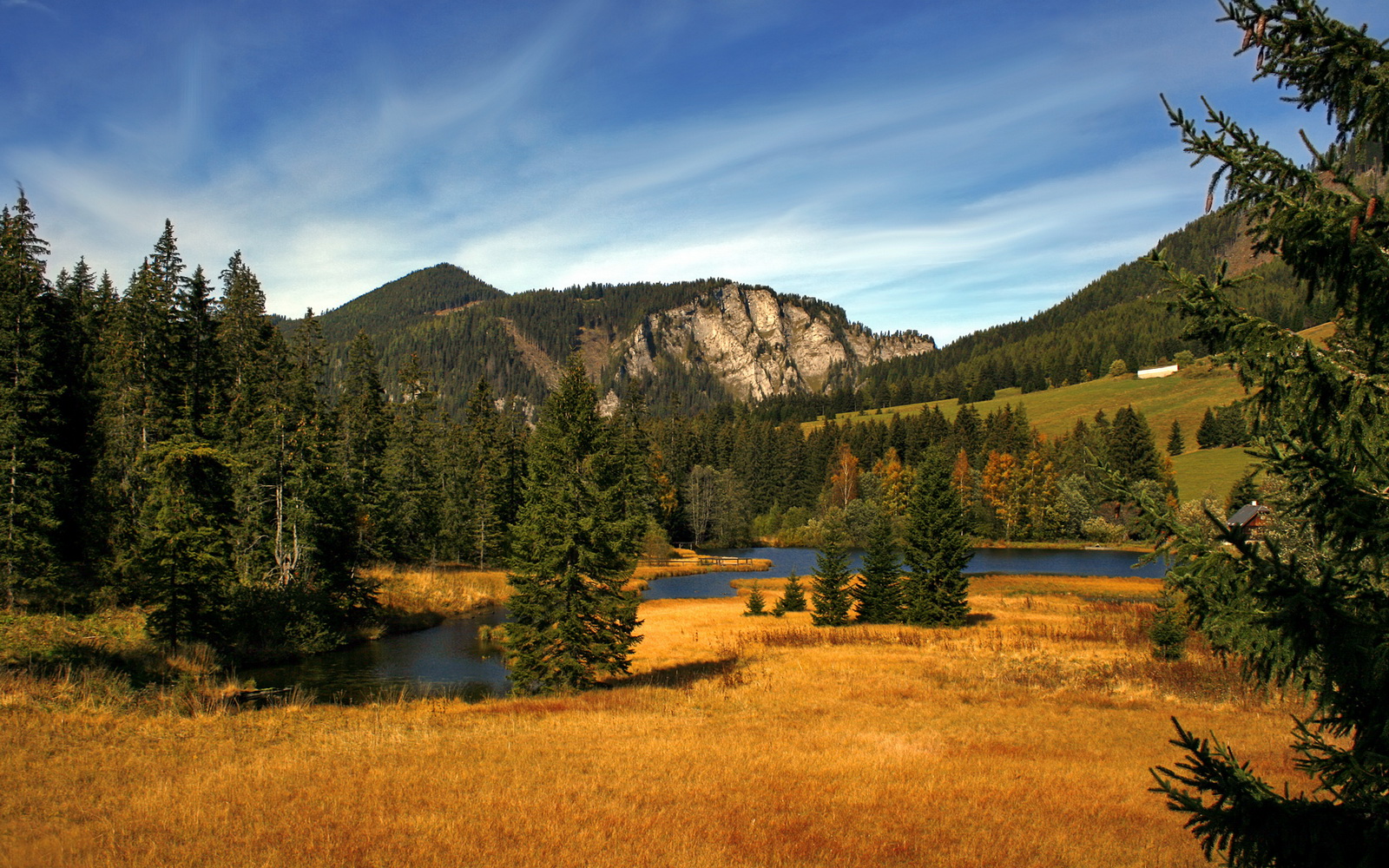 防守轮转换位效率联盟排名