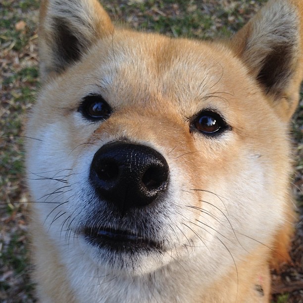 爱游戏体育（AYX）官方APP下载-张伟丽称想通过比赛激励更多女孩，张伟丽最精彩的一场比赛视频