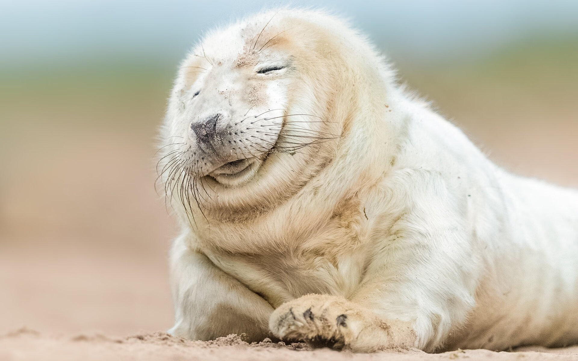 校园足球联赛首次实现省际直播观众互动踊跃，校园足球直播平台