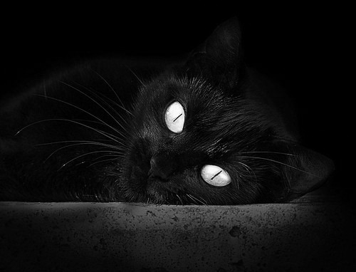 赛后媒体评分出炉表现突出的年轻球员引发外界关注,nba赛后球员评分