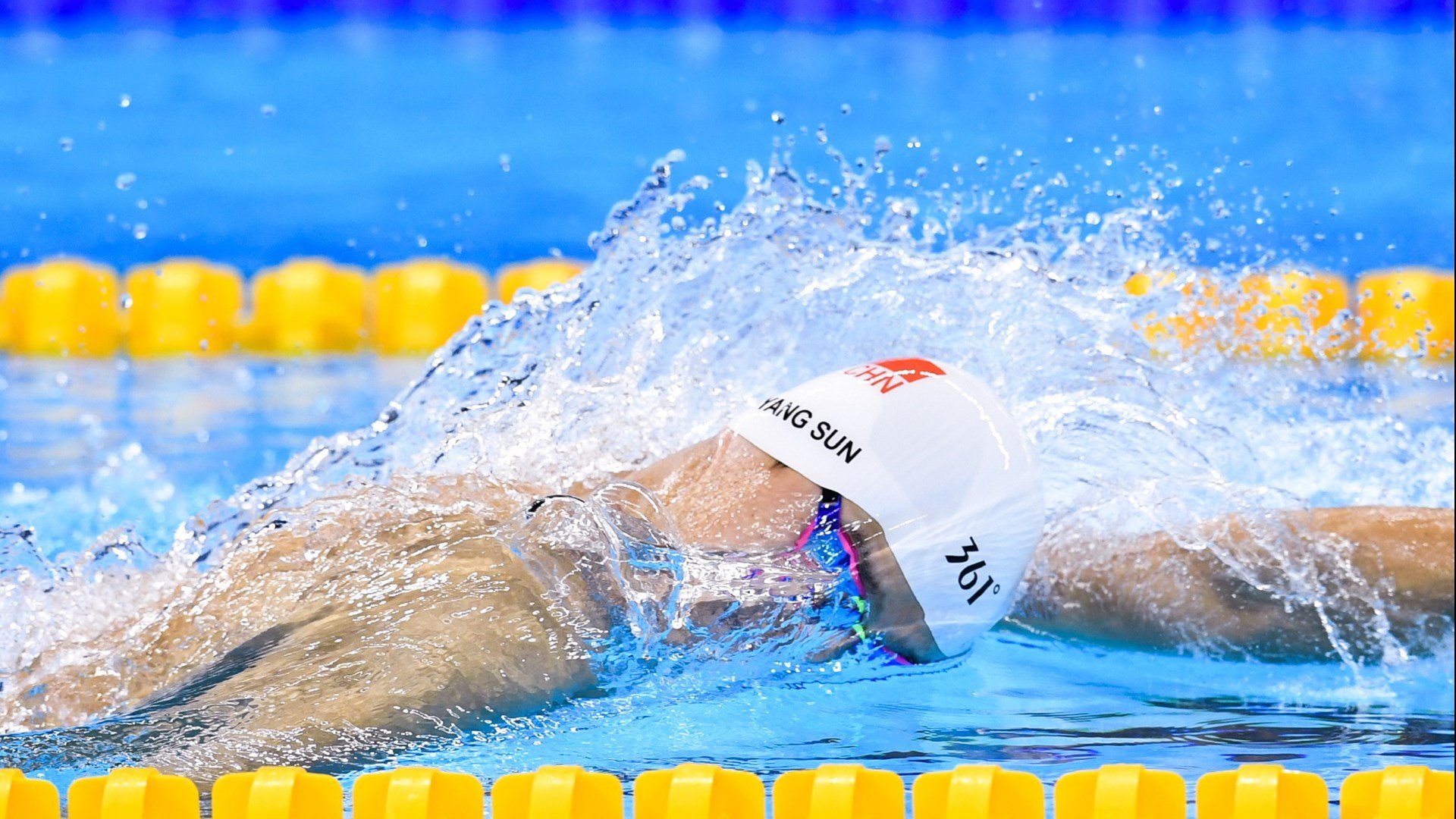 巴西马术协会与大学合作,开展马术运动营养研究,优化饮食方案。