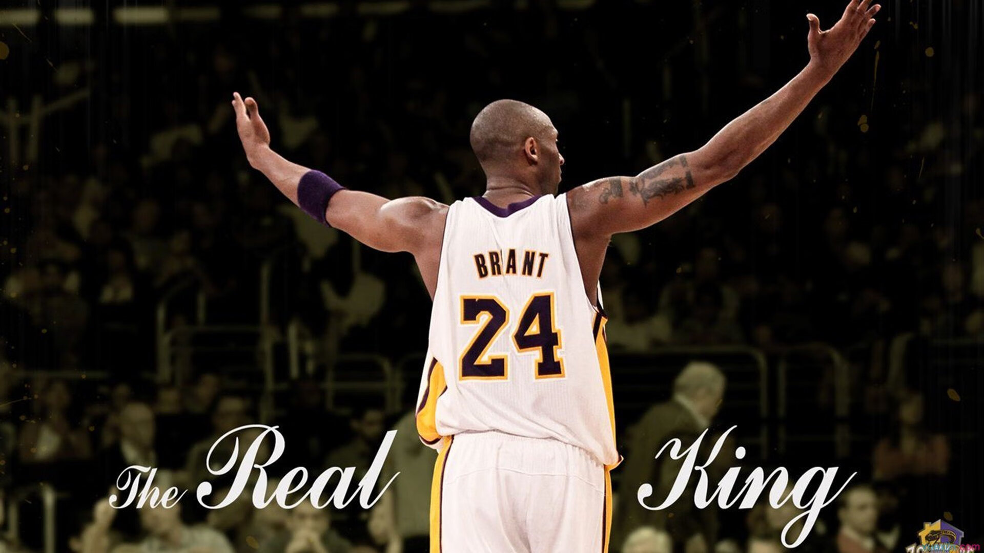 爱游戏网页版-福布斯榜单：车手商业影响力分析，世界顶级车手